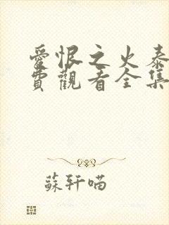 爱恨之火泰剧免费观看全集
