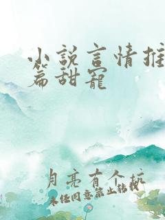 小说言情推荐短篇甜宠