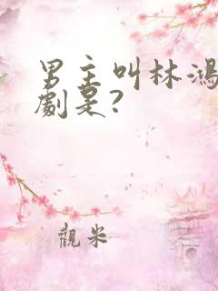 男主叫林鸿的短剧是?