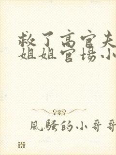 救了高官夫人认姐姐官场小说