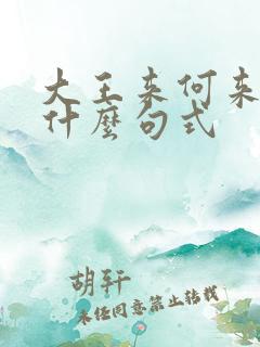 大王来何来操是什么句式