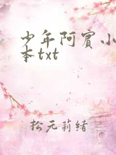 少年阿宾小说全本txt
