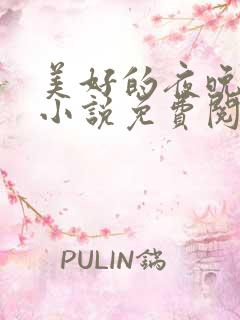 美好的夜晚父女小说免费阅读