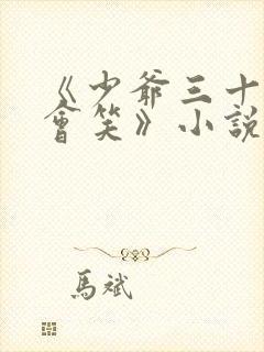 《少爷三十天后会笑》小说