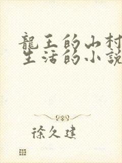 龙王的山村田园生活的小说