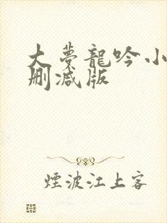 大梦龙吟小说未删减版