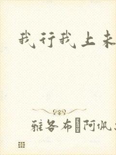 我行我上未删减
