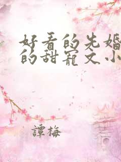 好看的先婚后爱的甜宠文小说