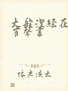 大般涅经在线听有声书