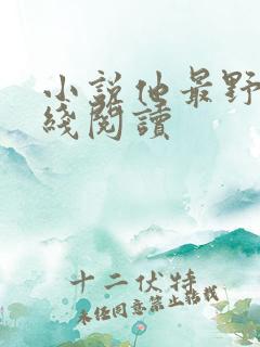 小说他最野了在线阅读