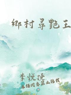 乡村寻艳王小说