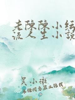 老陈陈小纭的风流人生小说免费阅读