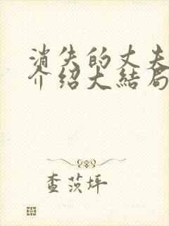 消失的丈夫剧情介绍大结局
