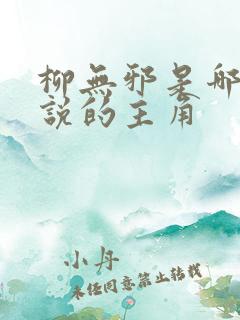柳无邪是哪本小说的主角