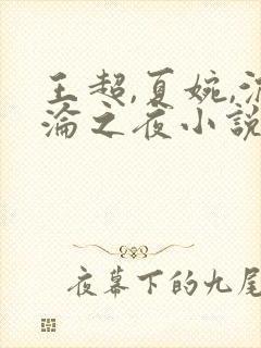 王超,夏婉,沉沦之夜小说
