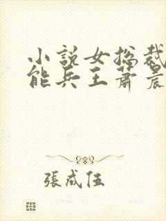 小说女总裁的全能兵王萧晨最新篇章