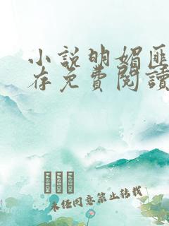 小说明媚匪我思存免费阅读