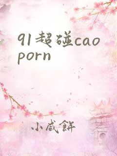 91超碰caoporn