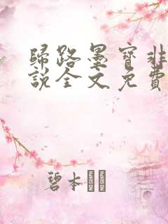 归路墨宝非宝小说全文免费阅读