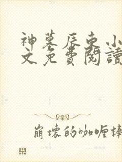 神墓辰东小说全文免费阅读起点