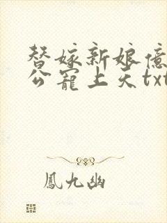 替嫁新娘亿万老公宠上天txt