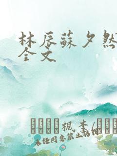 林辰苏夕然小说全文