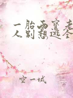 一胎两宝老婆大人别想逃全文阅读