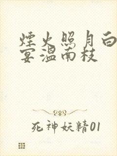烟火照月白沈清宴温南枝