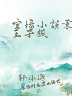 官场小说袁雯洁王子枫