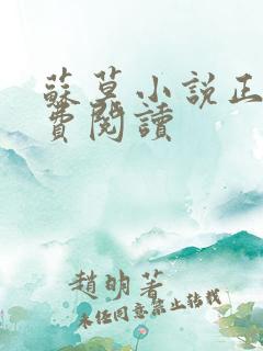苏莫小说正版免费阅读