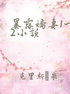 暴露娇妻1~12小说