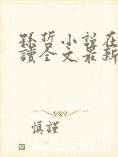 孙哲小说在线阅读全文最新