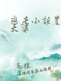 恋老小说农村老太婆