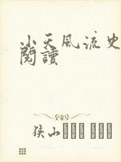 小天风流史免费阅读
