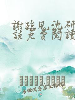 谢临风沈研卿小说免费阅读最新章节