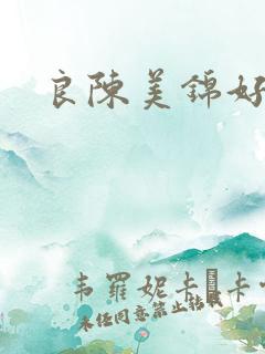 良陈美锦好看吗