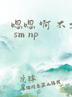 嗯嗯 啊 不要 sm np
