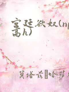 宫廷欲奴(np高h)