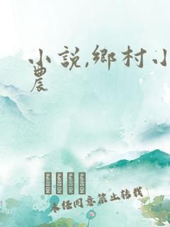 小说,乡村小神农