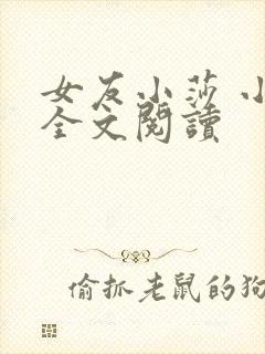 女友小莎 小说全文阅读