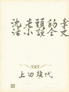 沈老头的幸福生活小说全文阅读