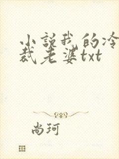 小说我的冷艳总裁老婆txt