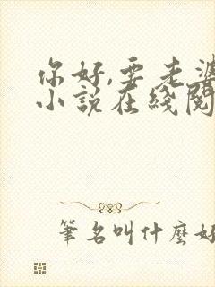 你好,要老婆吗小说在线阅读