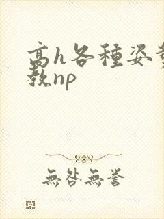 高h各种姿势调教np