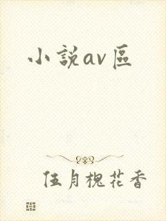 小说av区