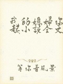 我的媳妇你惹不起小说全文阅读