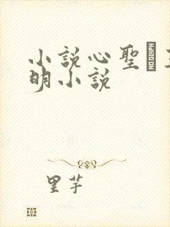 小说心圣·王阳明小说