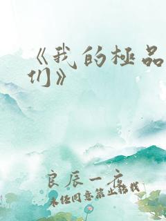 《我的极品老婆们》