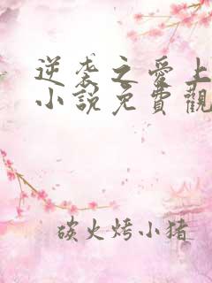逆袭之爱上情敌小说免费观看