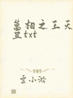 万相之王天蚕土豆txt
